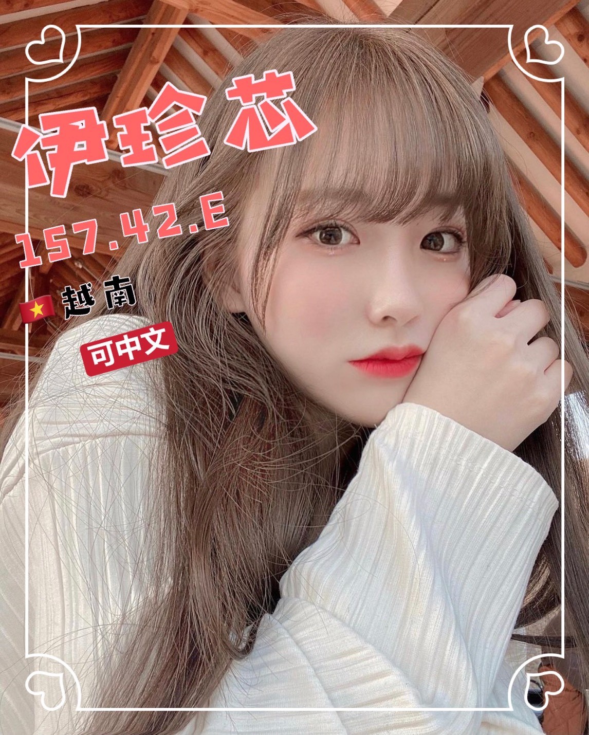 越南台中伊珍芯定點圖片