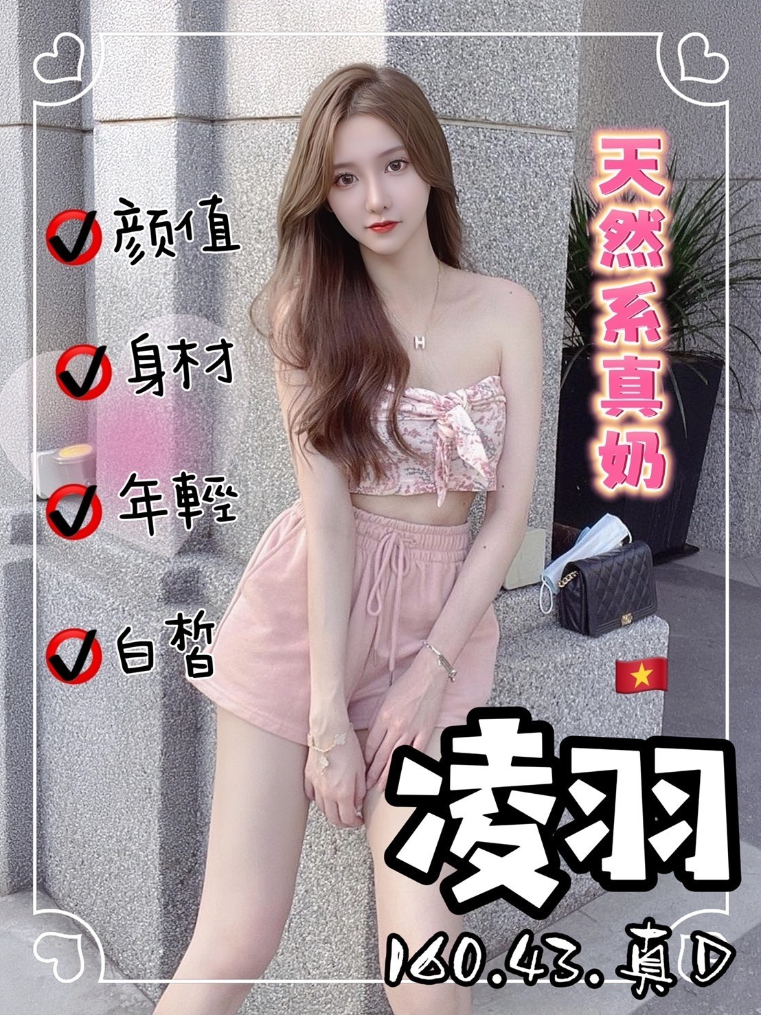 越南台中凌羽定點圖片