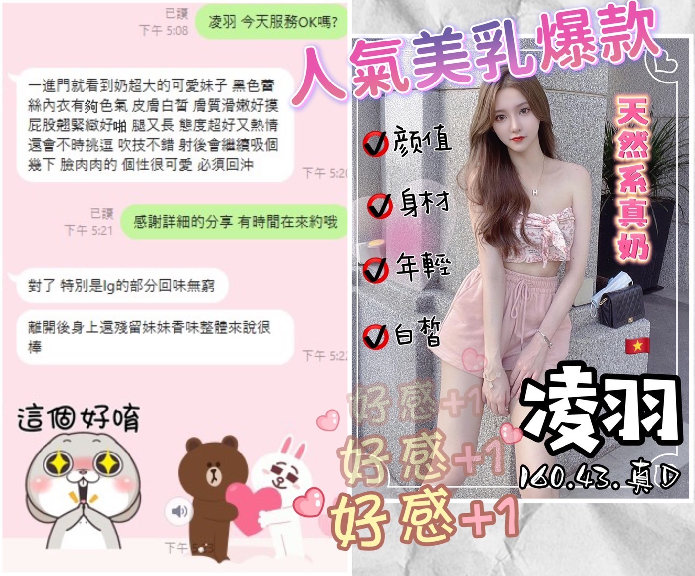 越南台中凌羽定點圖片