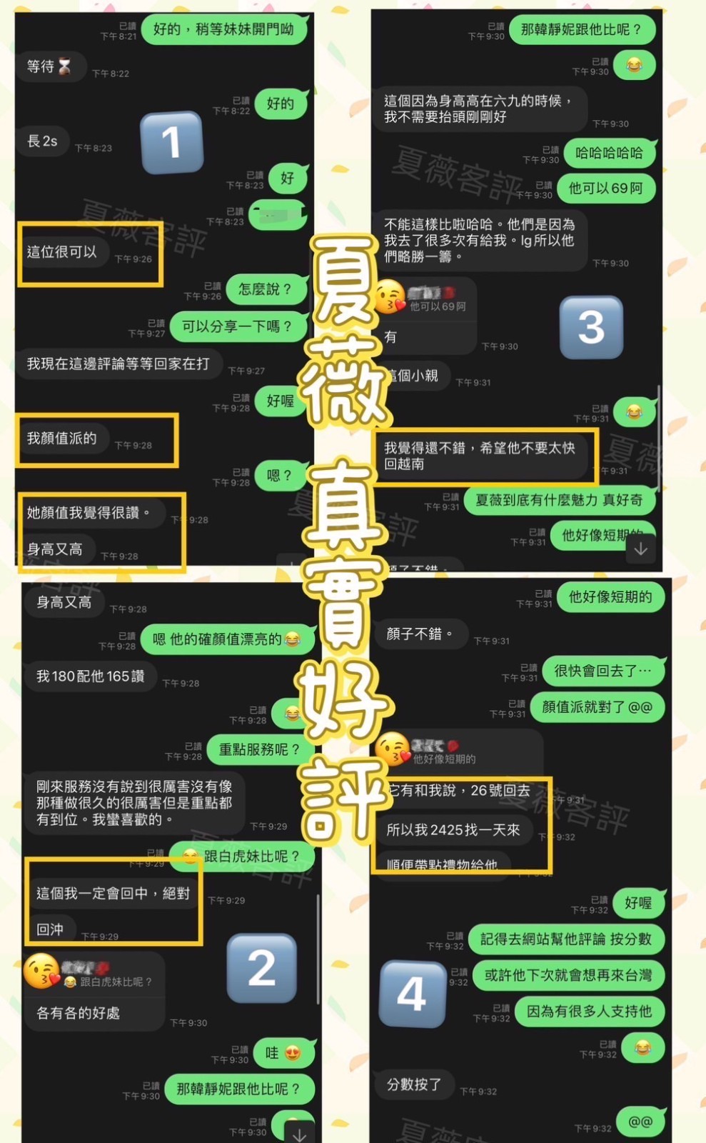 越南台中夏薇定點圖片