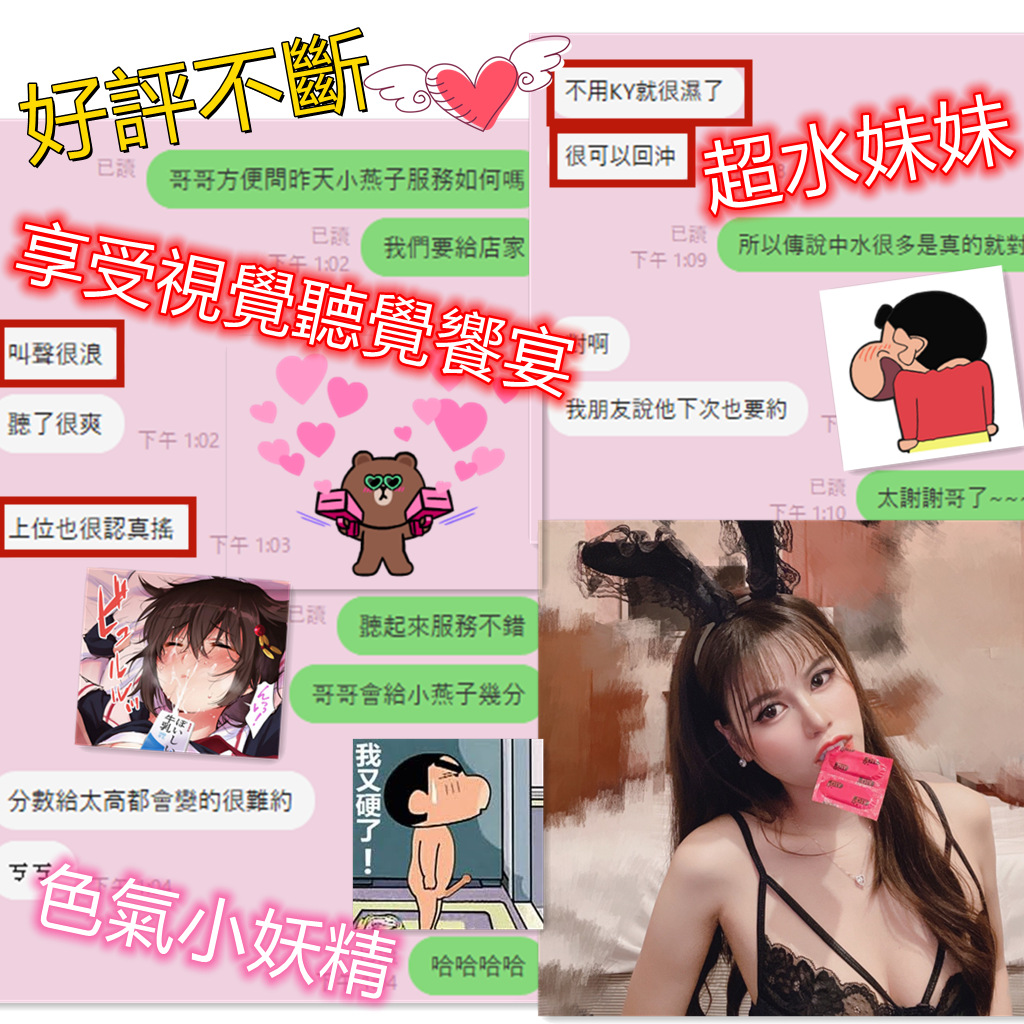 越南台中小燕子定點圖片