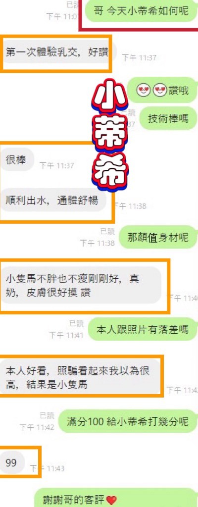 越南台中小蒂希定點圖片