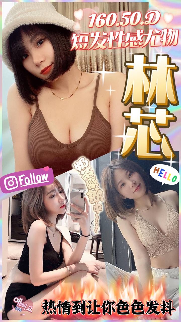 越南台中林芯定點圖片