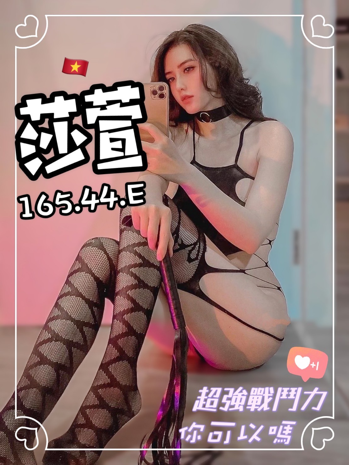 越南台中莎萱定點圖片
