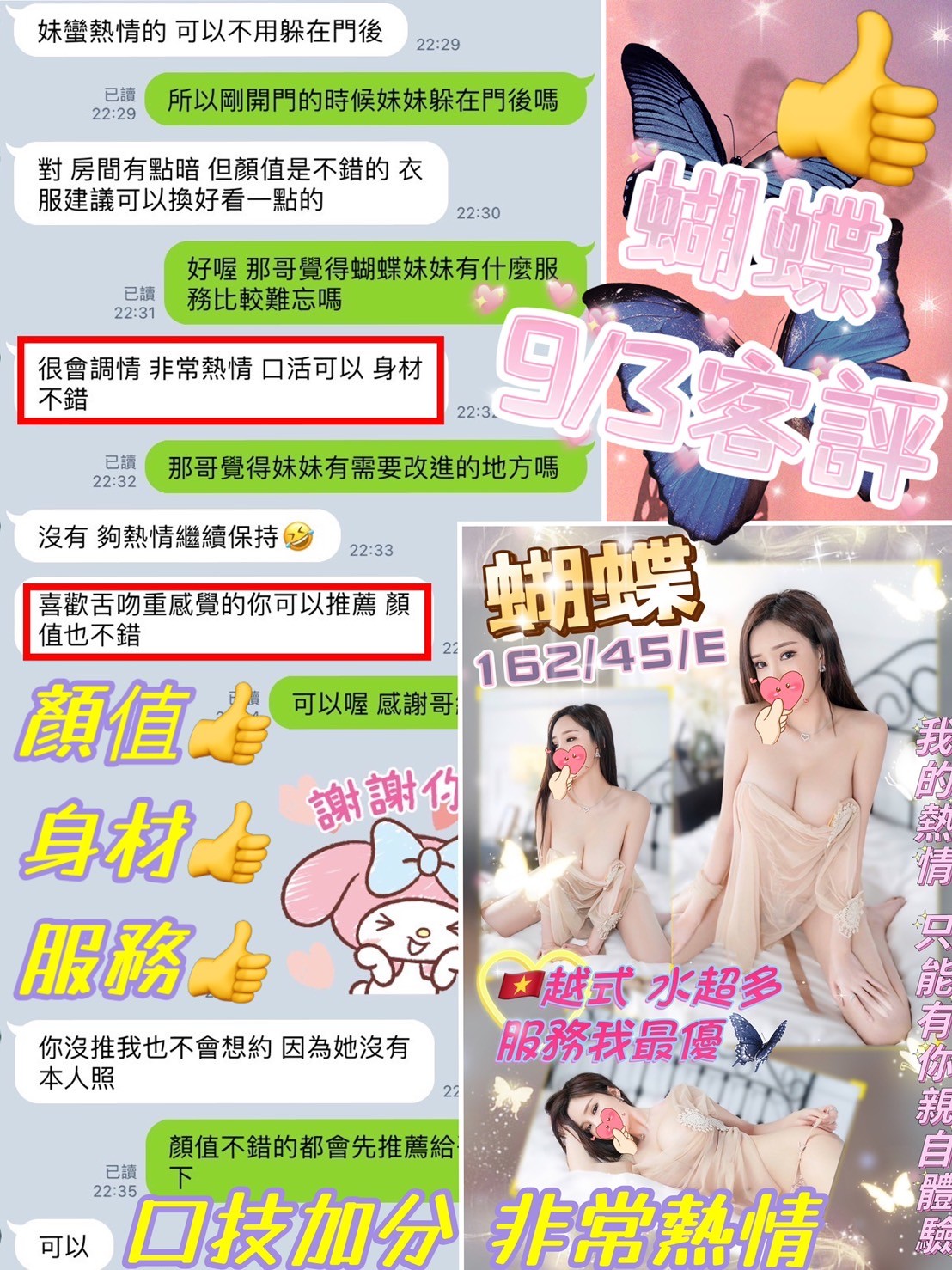越南台中蝴蝶定點圖片
