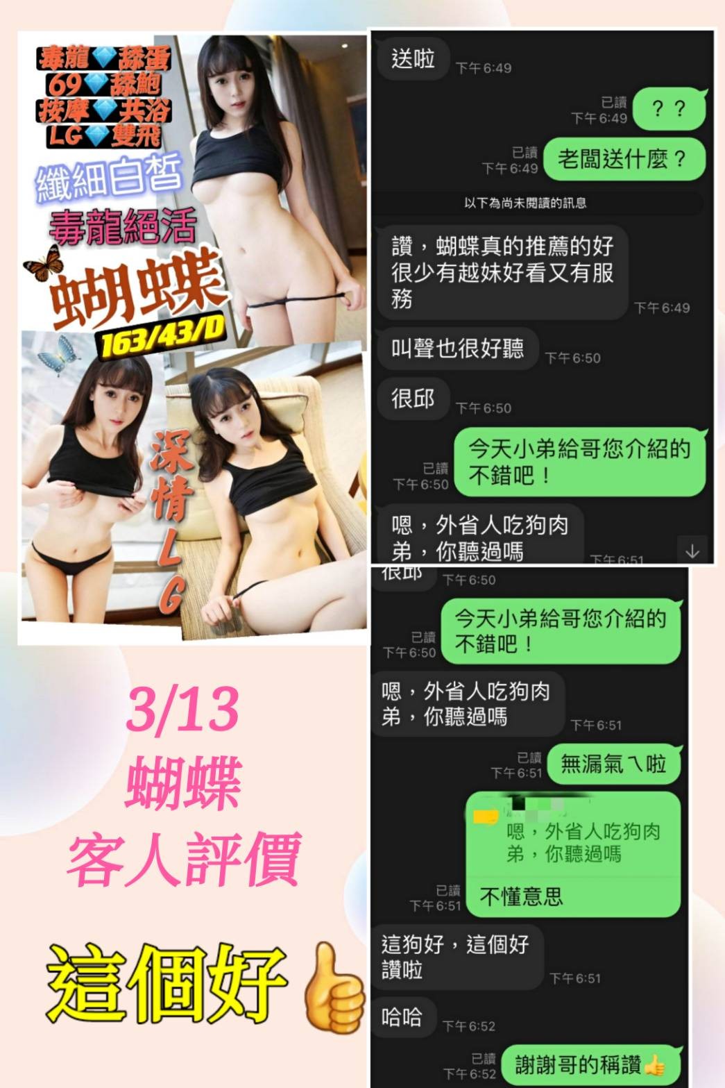 越南台中蝴蝶定點圖片