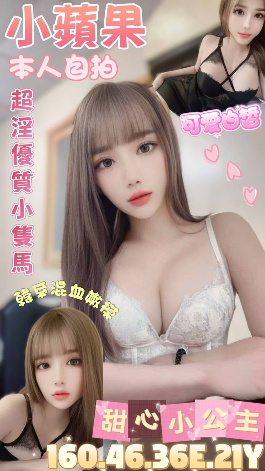 越南台北小蘋果定點圖片