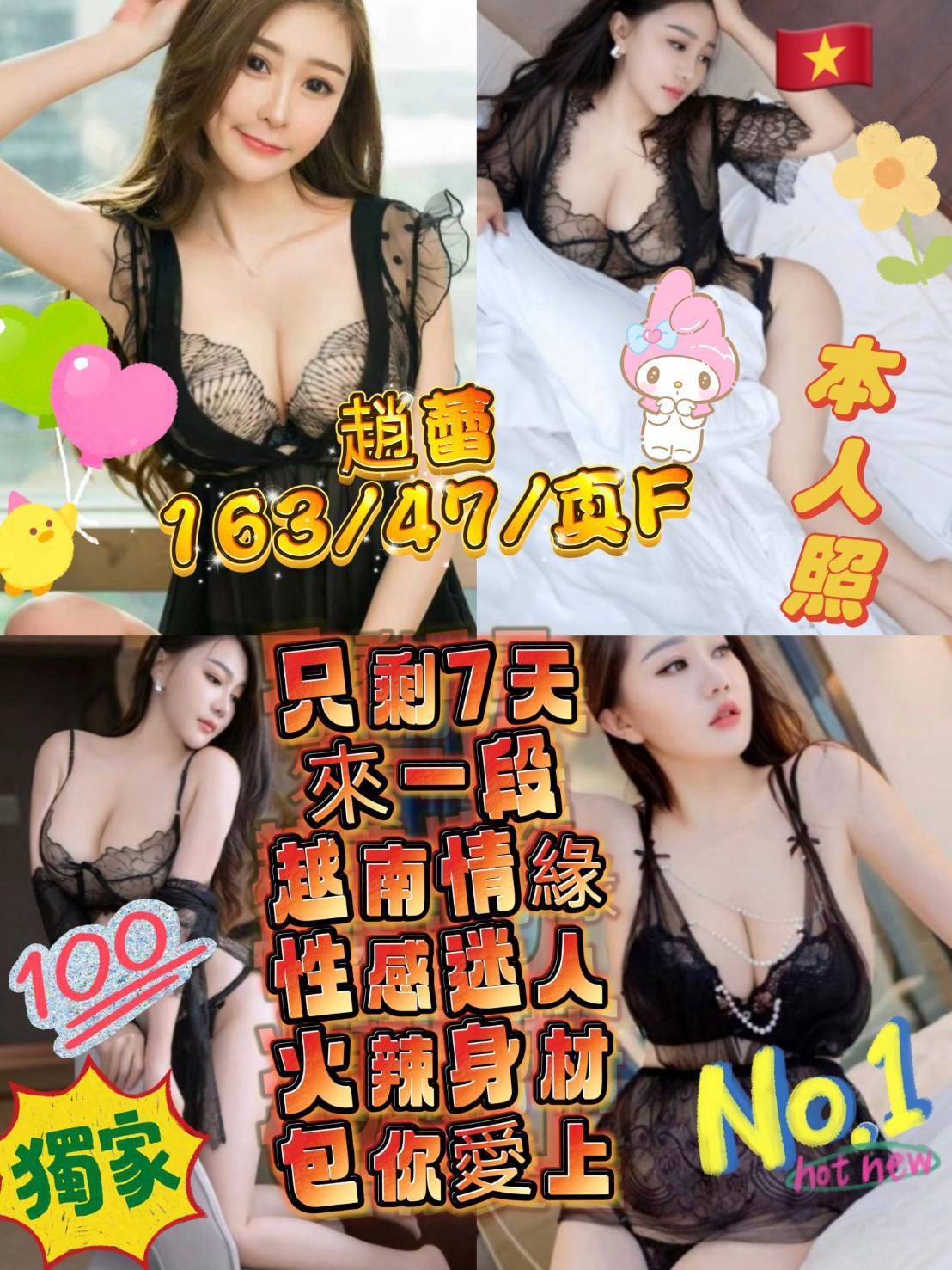 越南台北趙蕾定點圖片