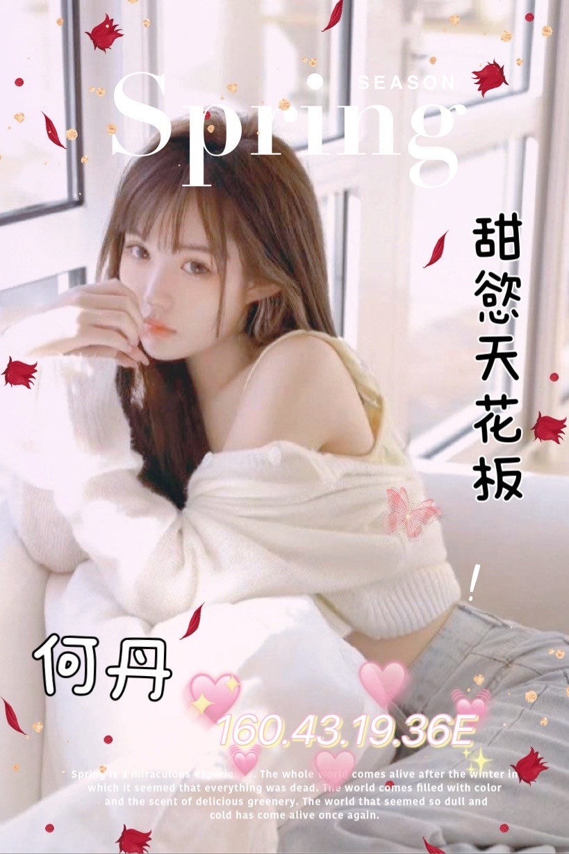越南台南何丹定點圖片