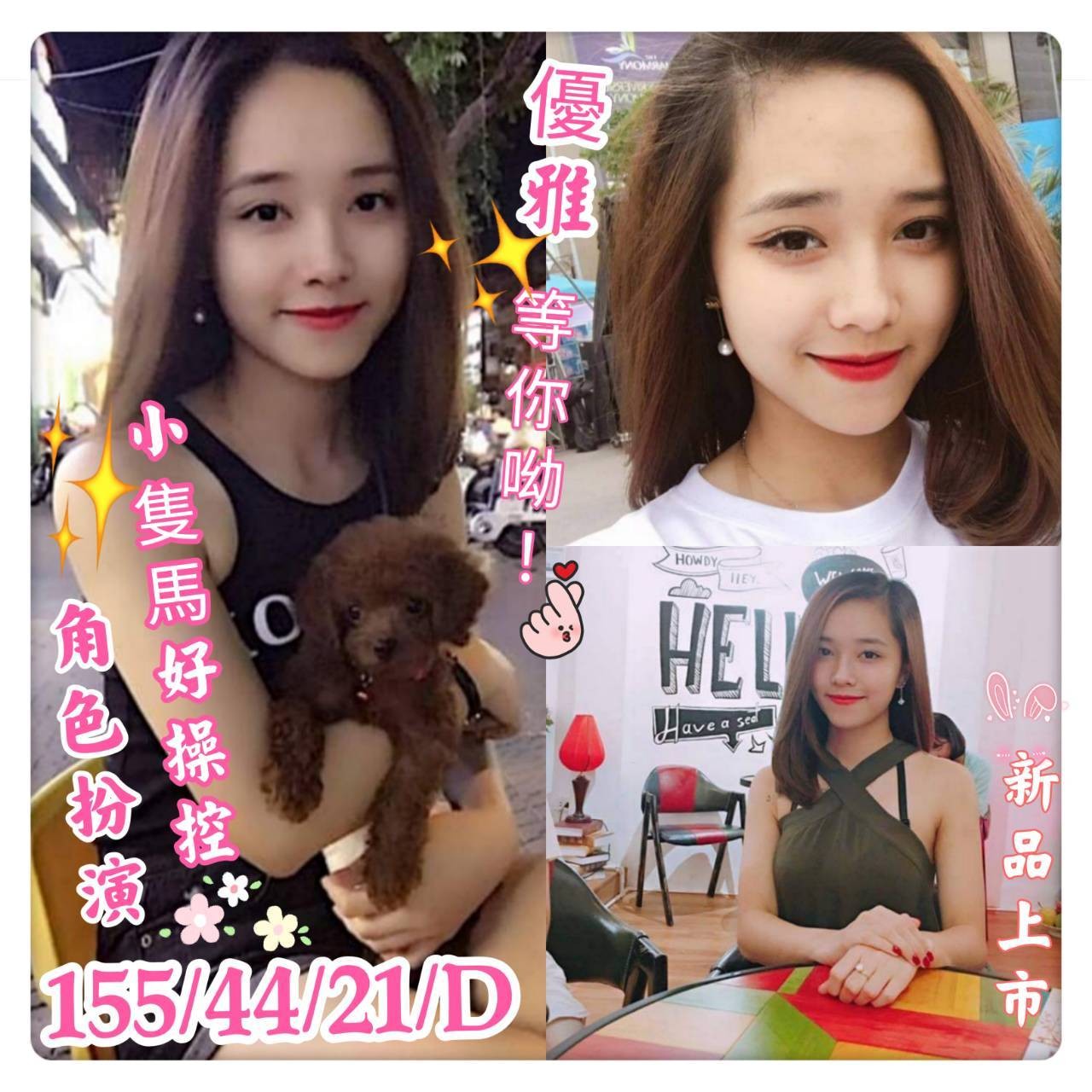 越南台南優雅定點圖片