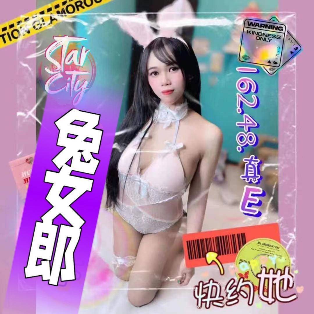 越南台南兔女郎定點圖片