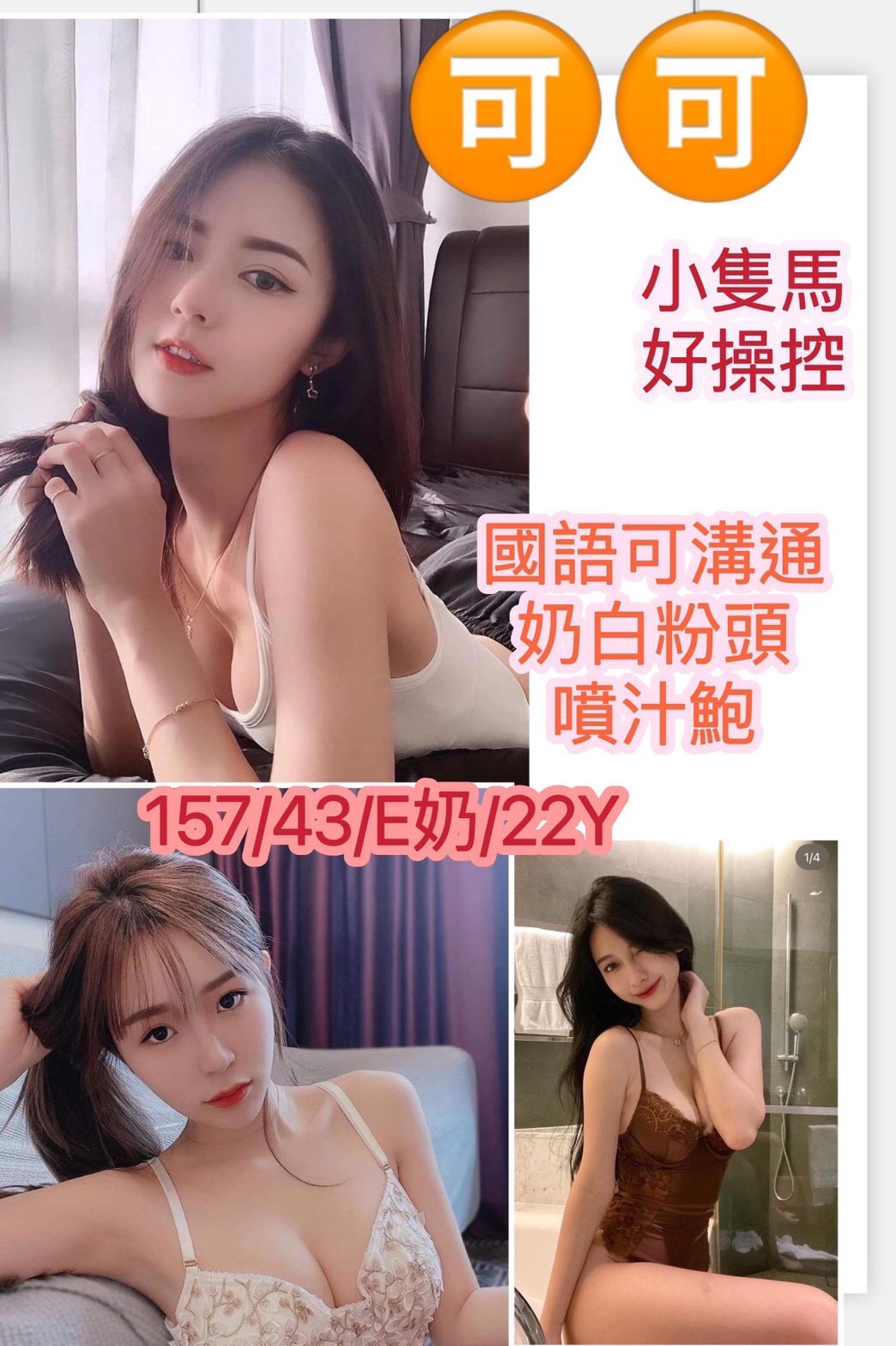越南台南可可定點圖片
