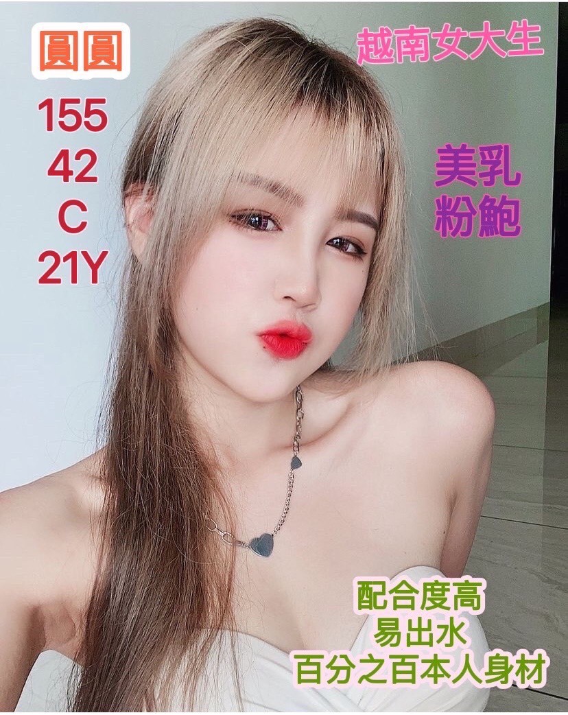 越南台南圓圓定點圖片