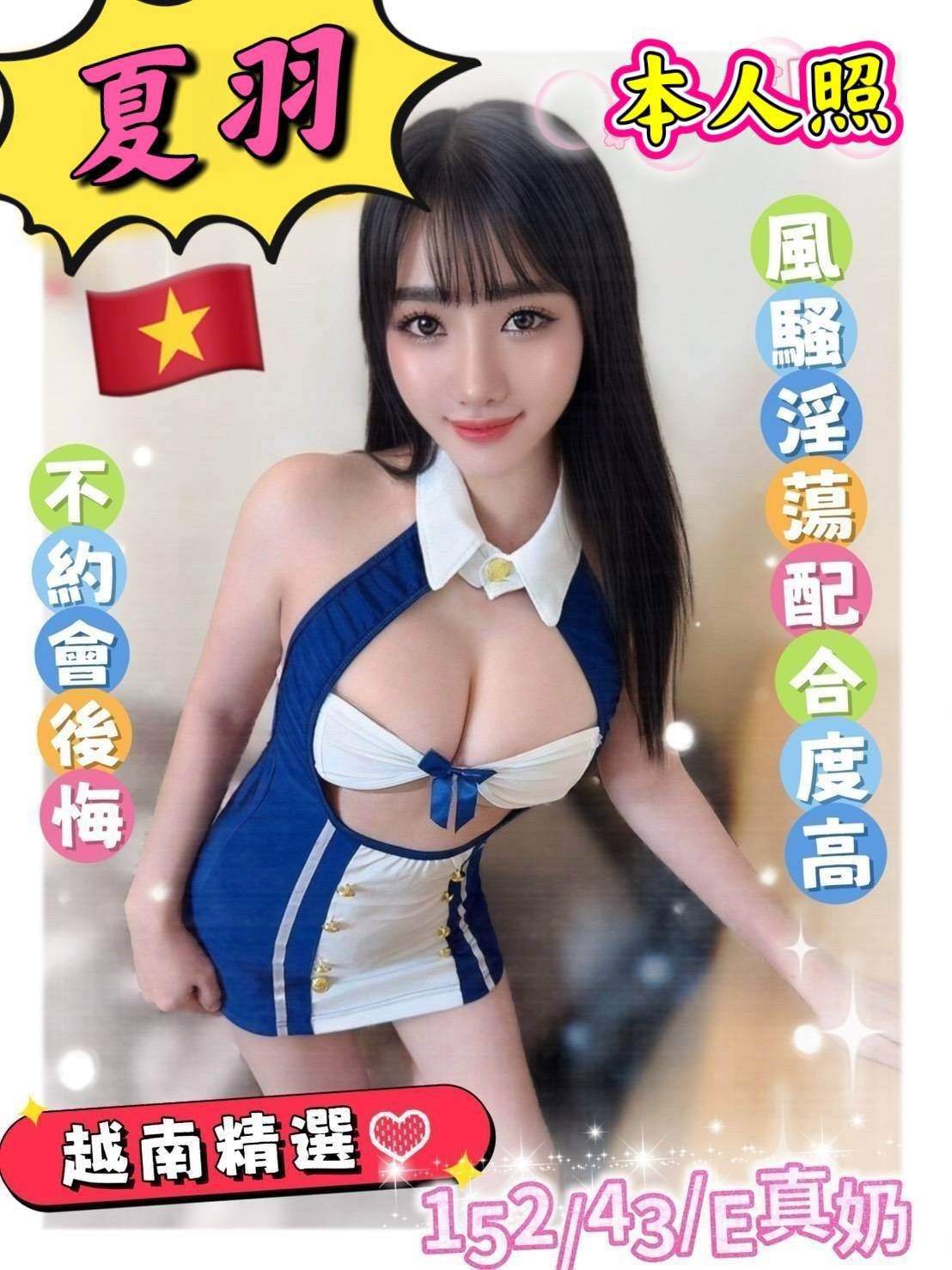 越南台南夏羽定點圖片