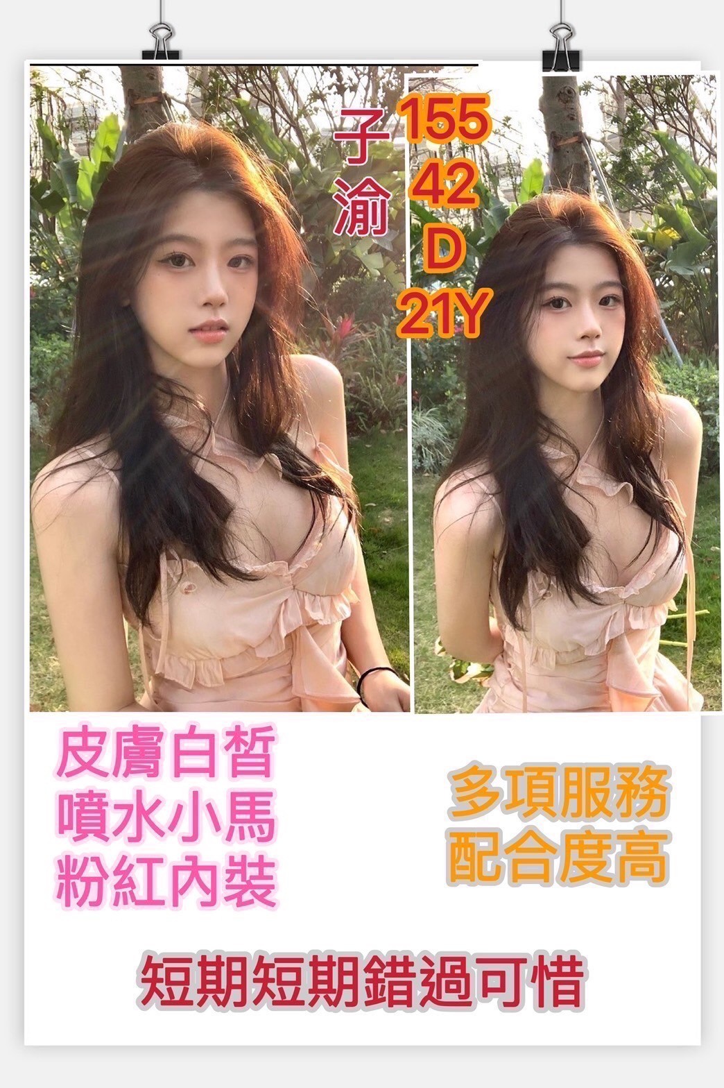 越南台南子瑜定點圖片