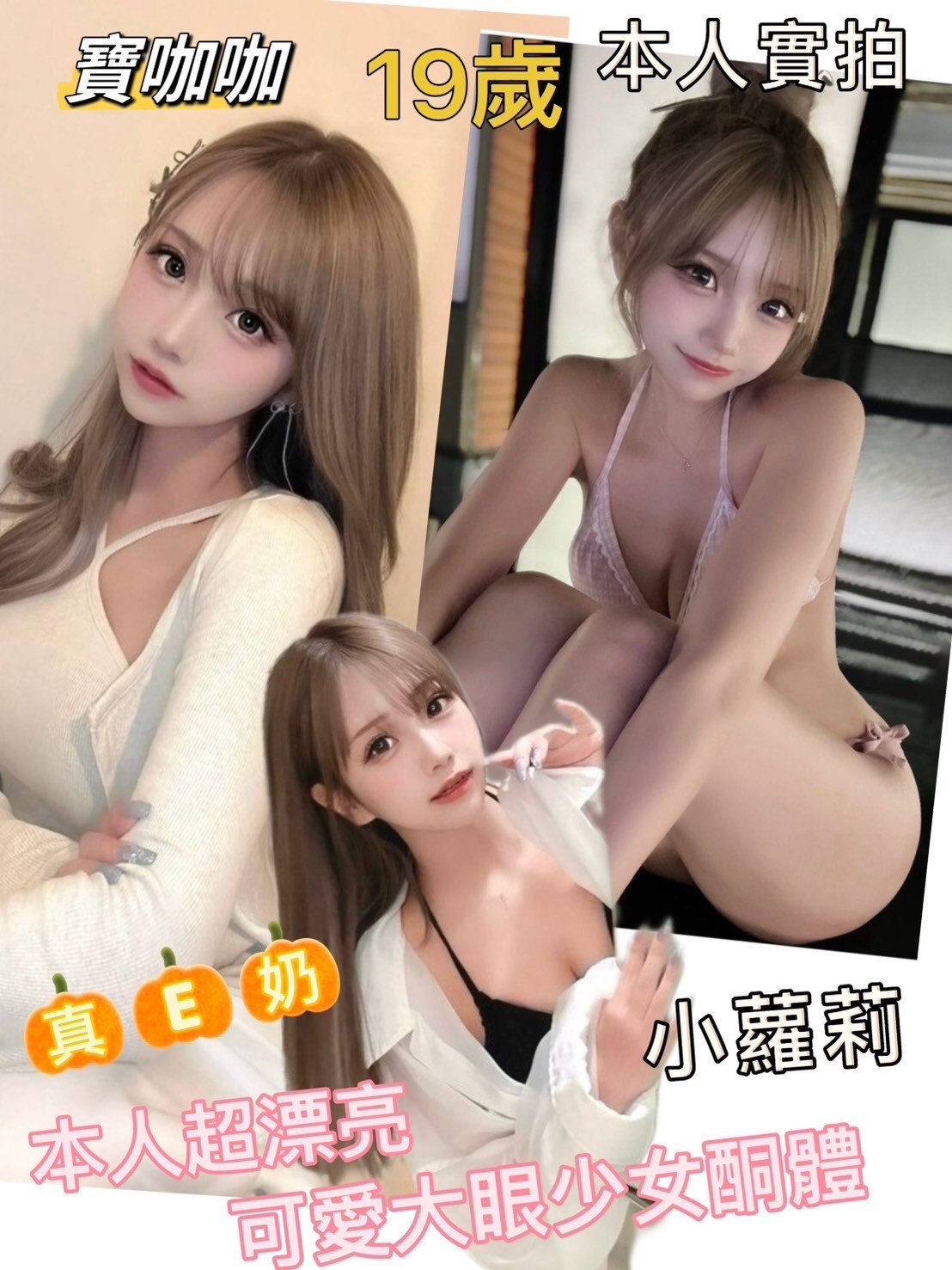 越南台南寶咖咖定點圖片