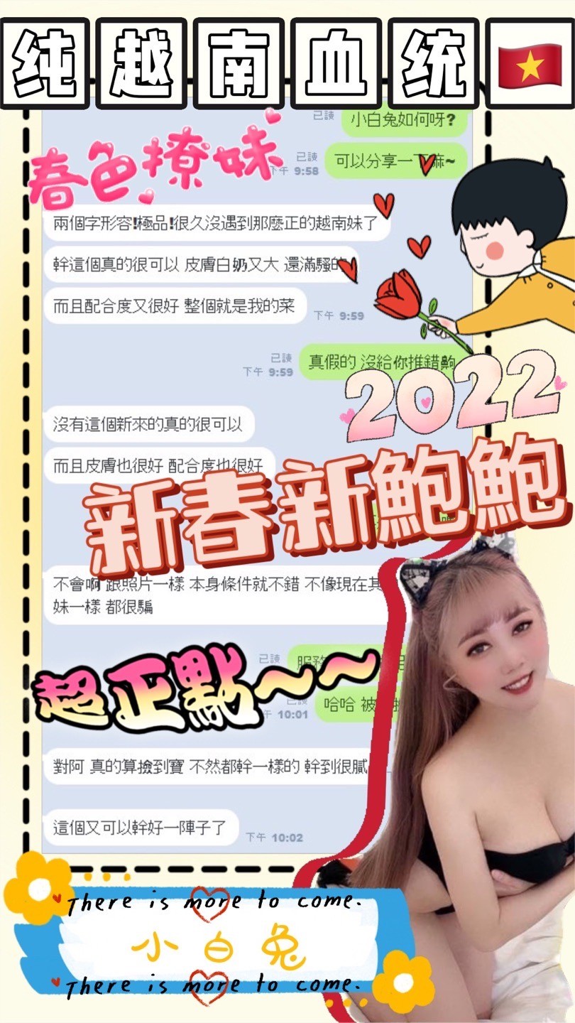越南台南小白兔定點圖片