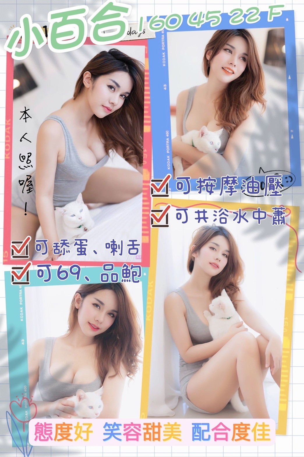 越南台南小百合定點圖片