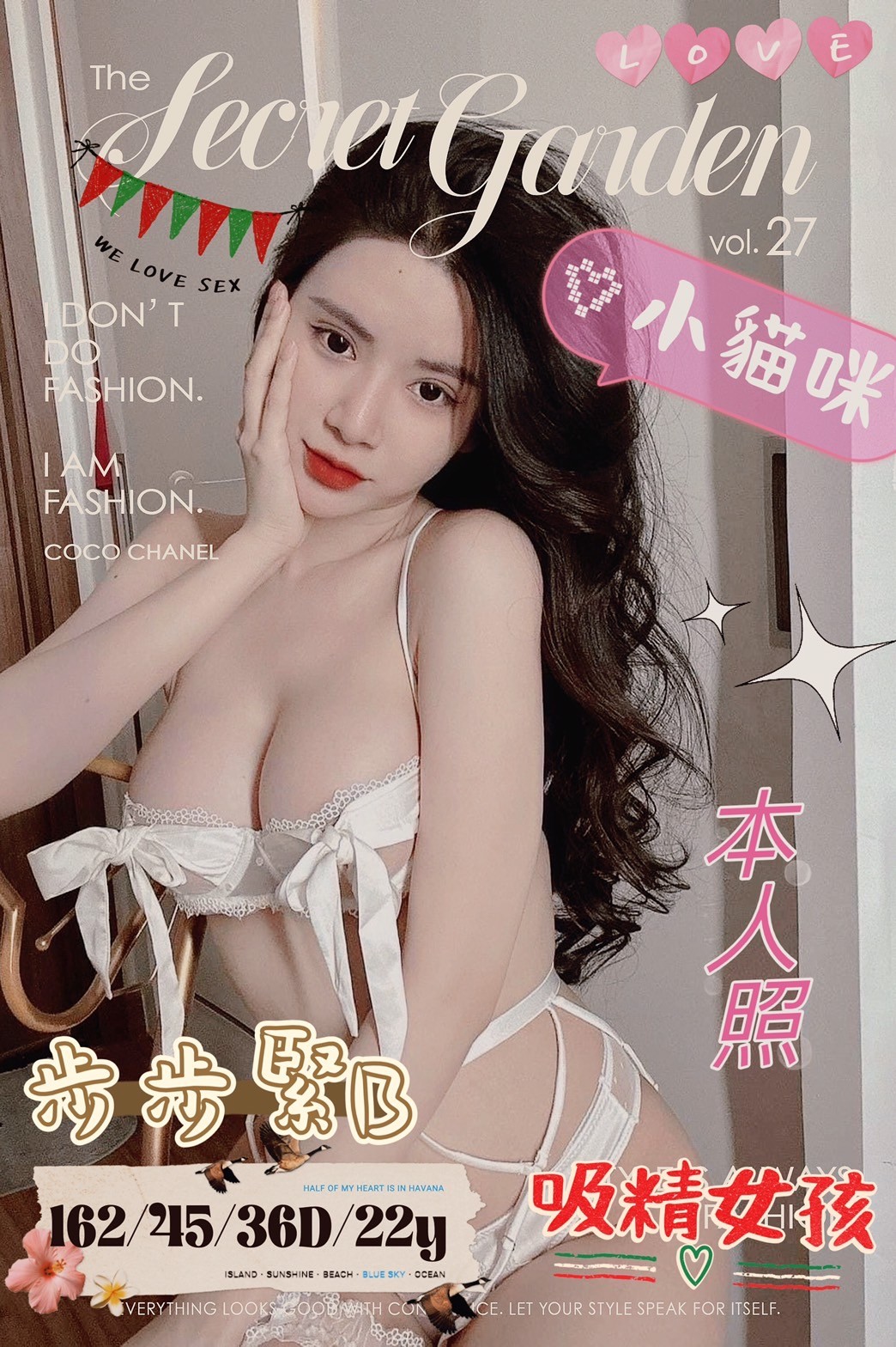 越南台南小貓咪定點圖片