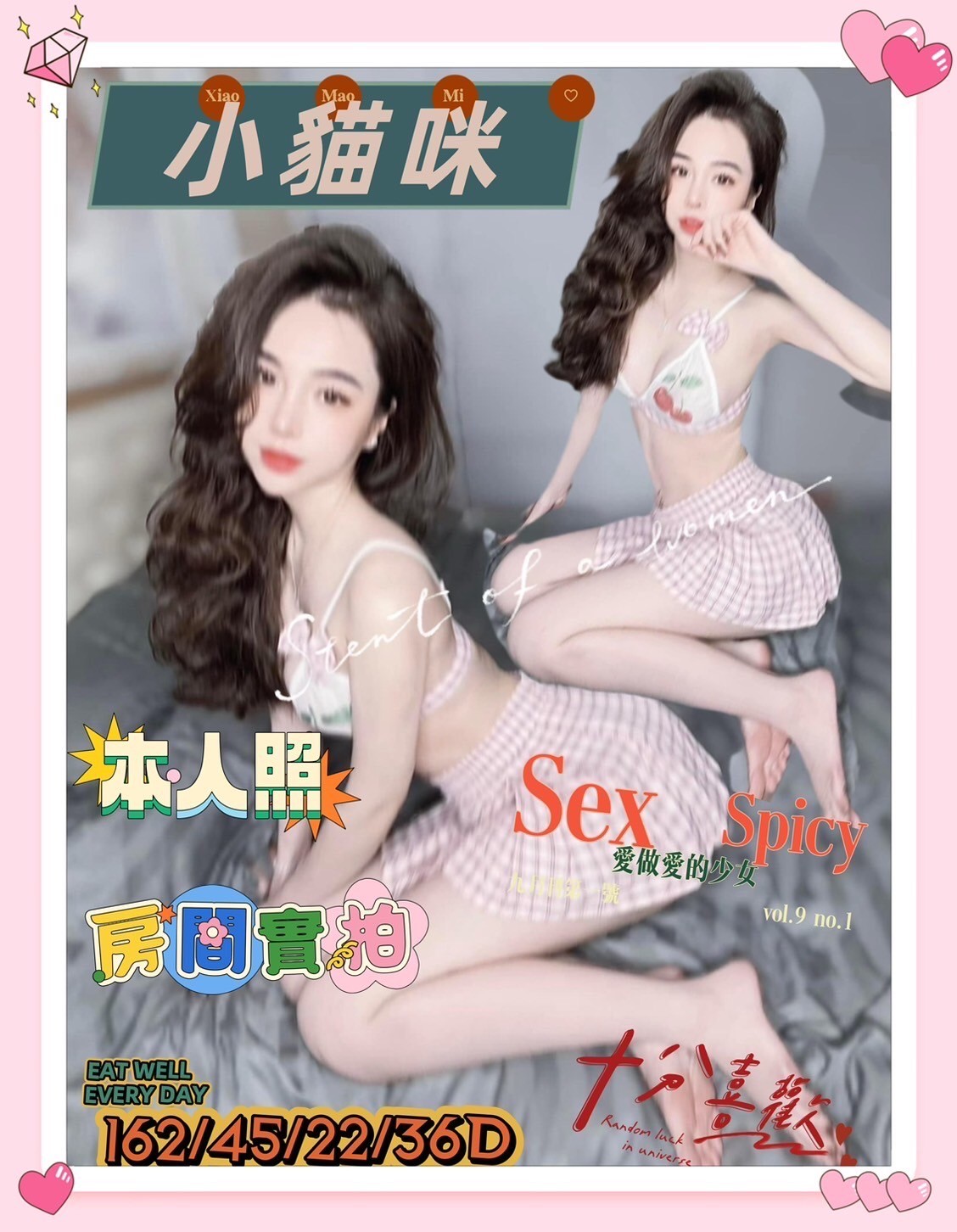 越南台南小貓咪定點圖片