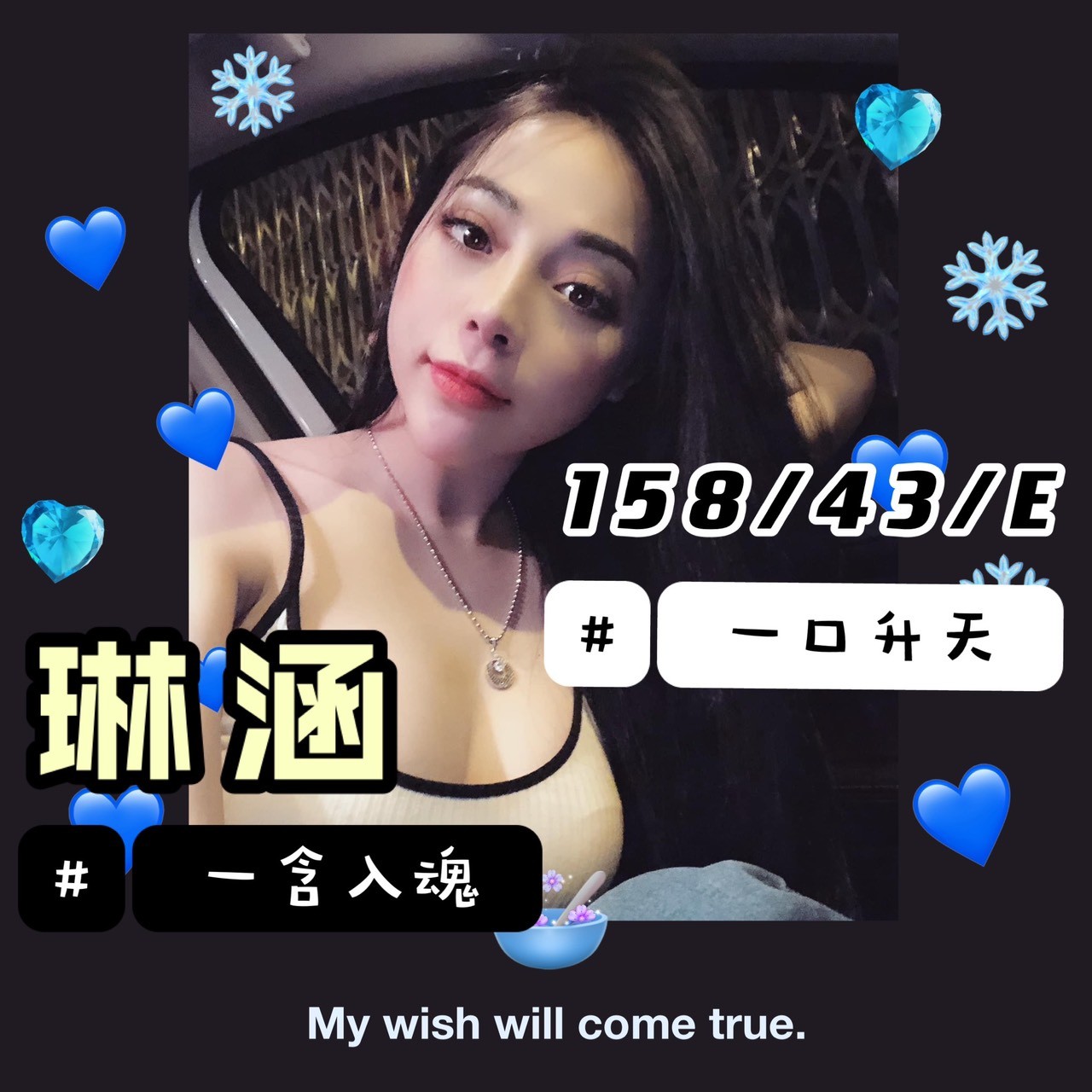 越南台南琳涵定點圖片