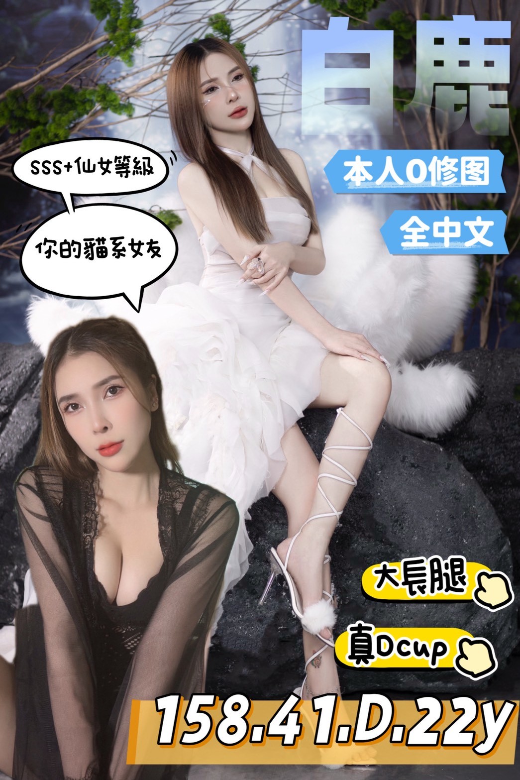 越南台南白鹿定點圖片