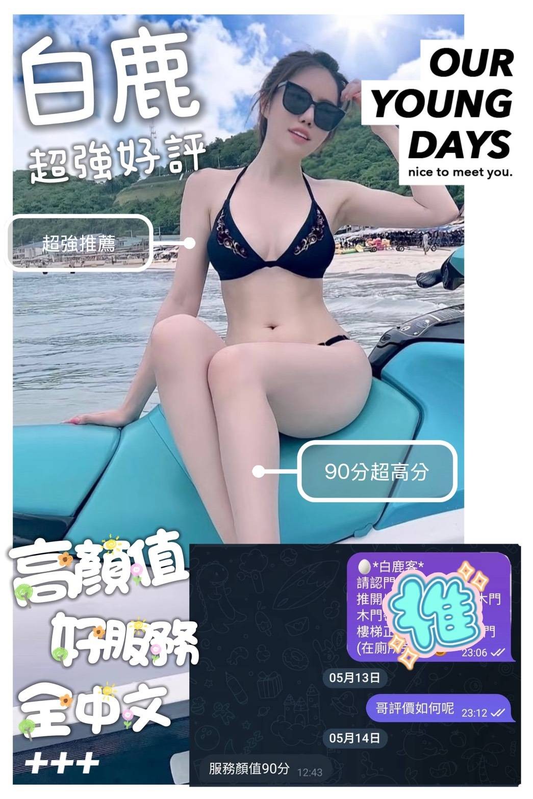越南台南白鹿定點圖片