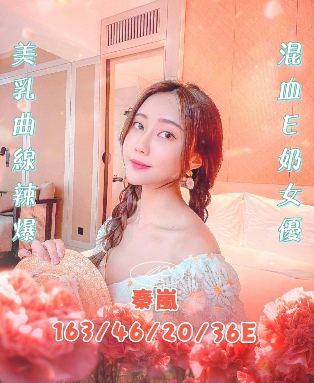 越南台南秦嵐定點圖片