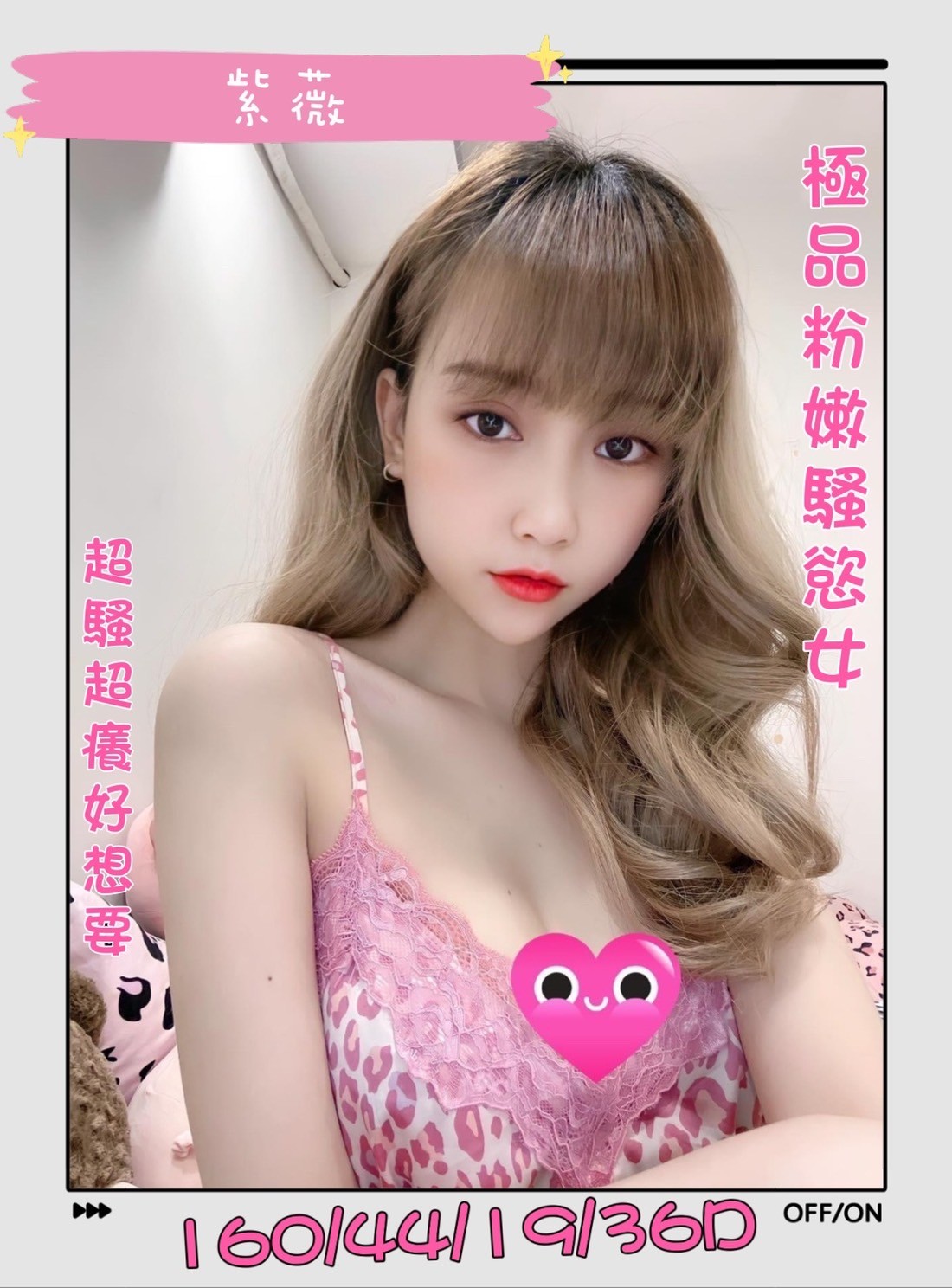 越南台南紫薇定點圖片