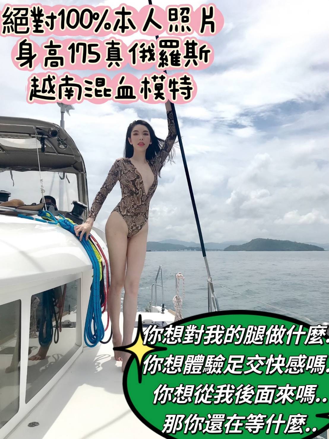 越南台南艾麗絲定點圖片
