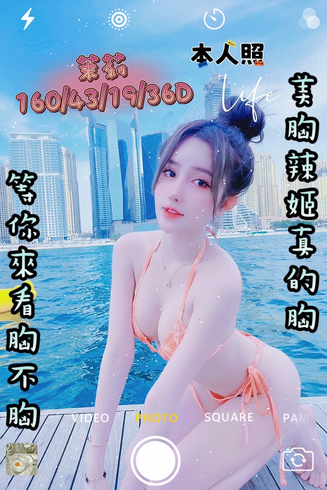 越南台南茉莉定點圖片