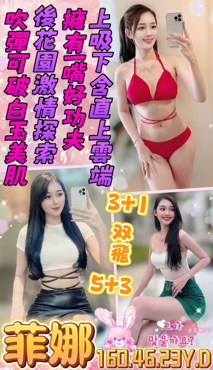 越南台南菲娜定點圖片