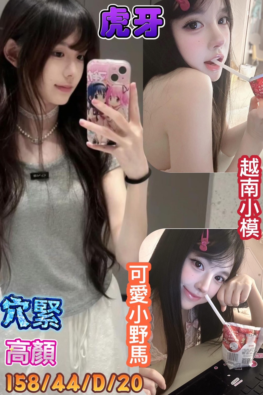 越南台南虎牙定點圖片