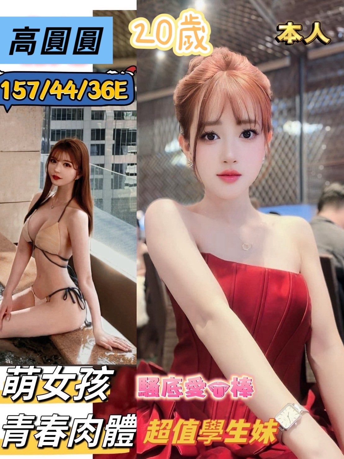 越南台南高圓圓定點圖片