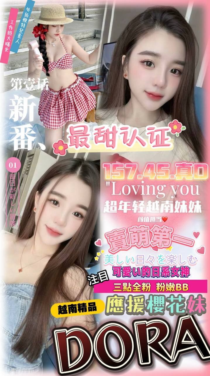 越南嘉義DORA定點圖片