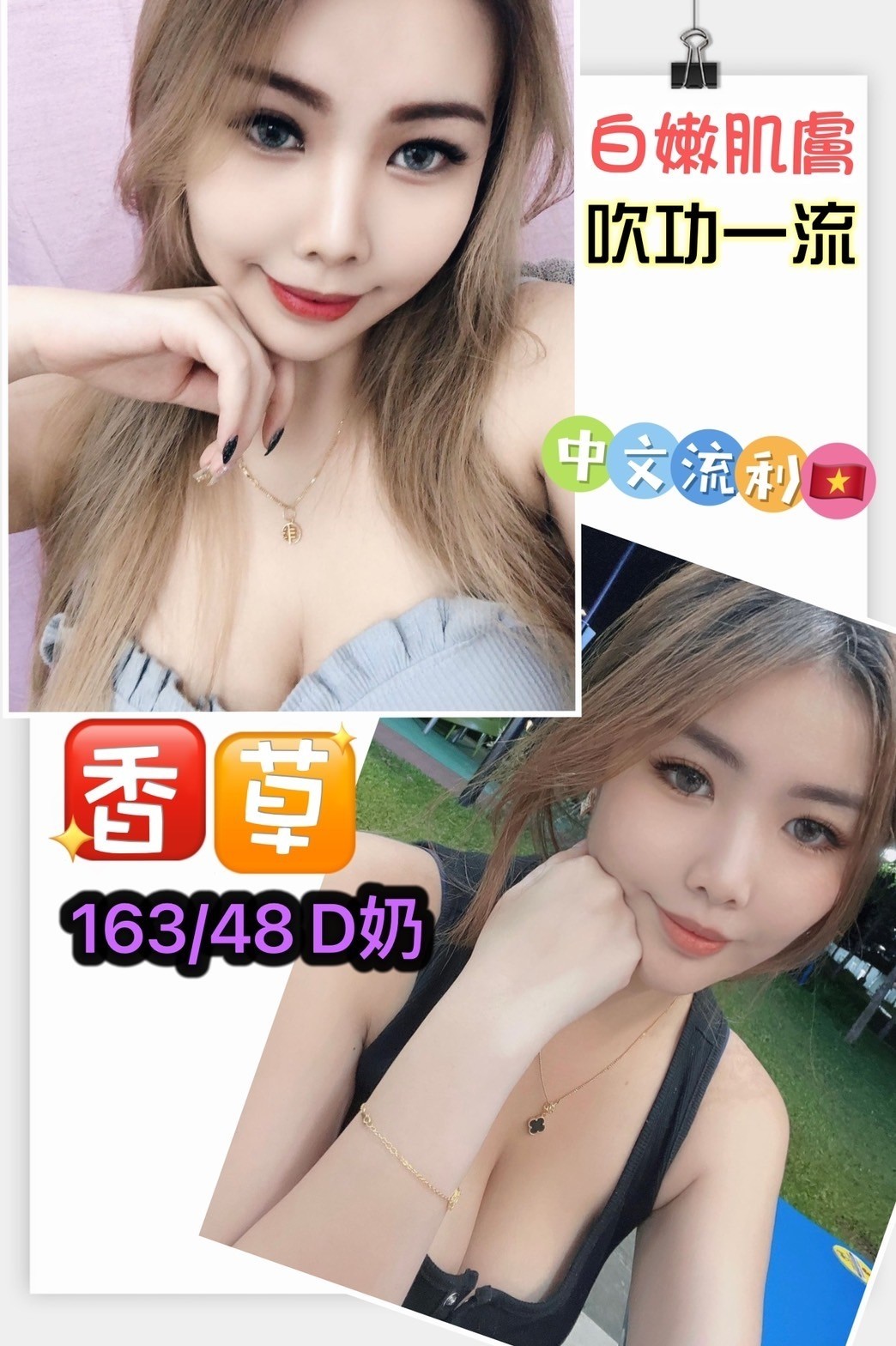 越南嘉義香草定點圖片