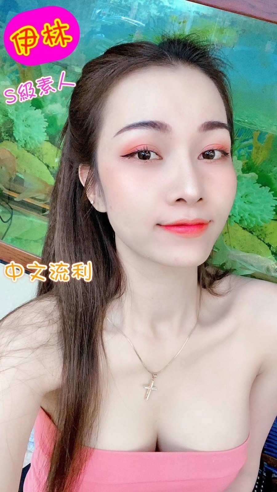 越南彰化伊林定點圖片