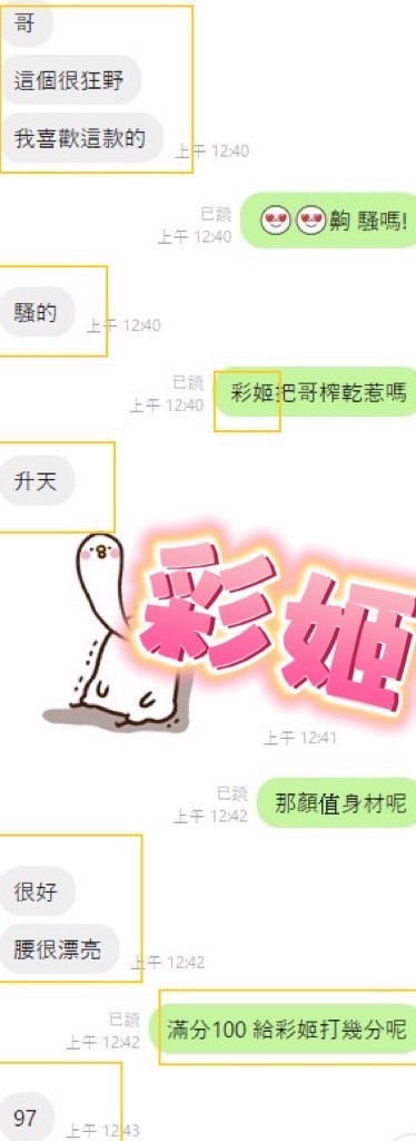 越南彰化彩姬定點圖片