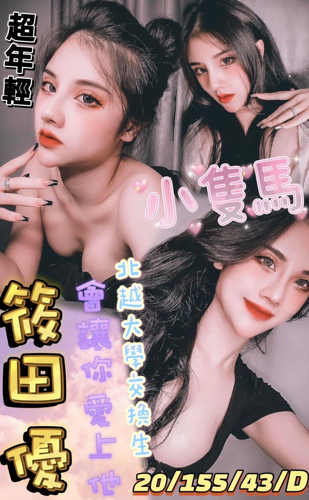 越南彰化筱田優定點圖片