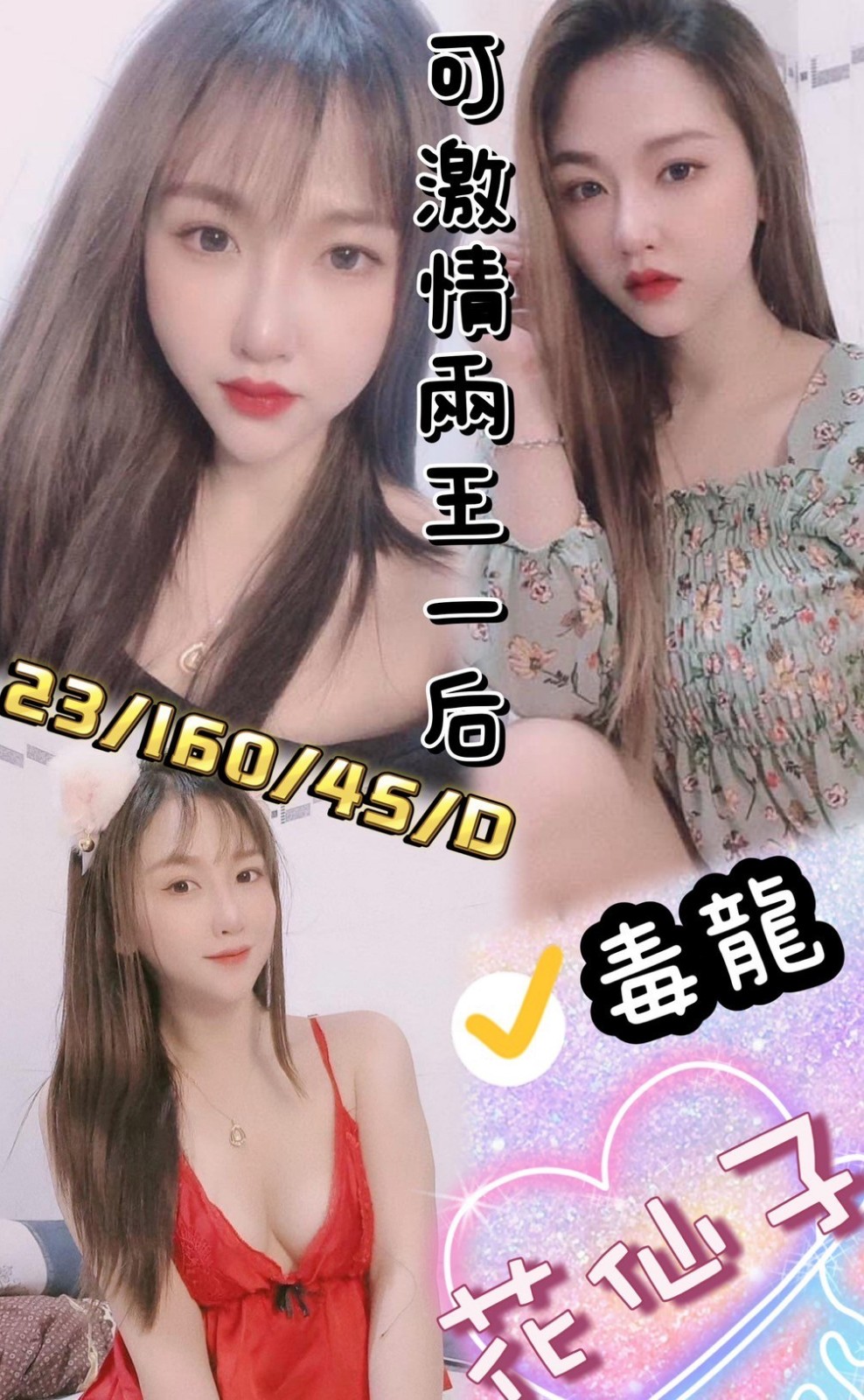 越南彰化花仙子定點圖片