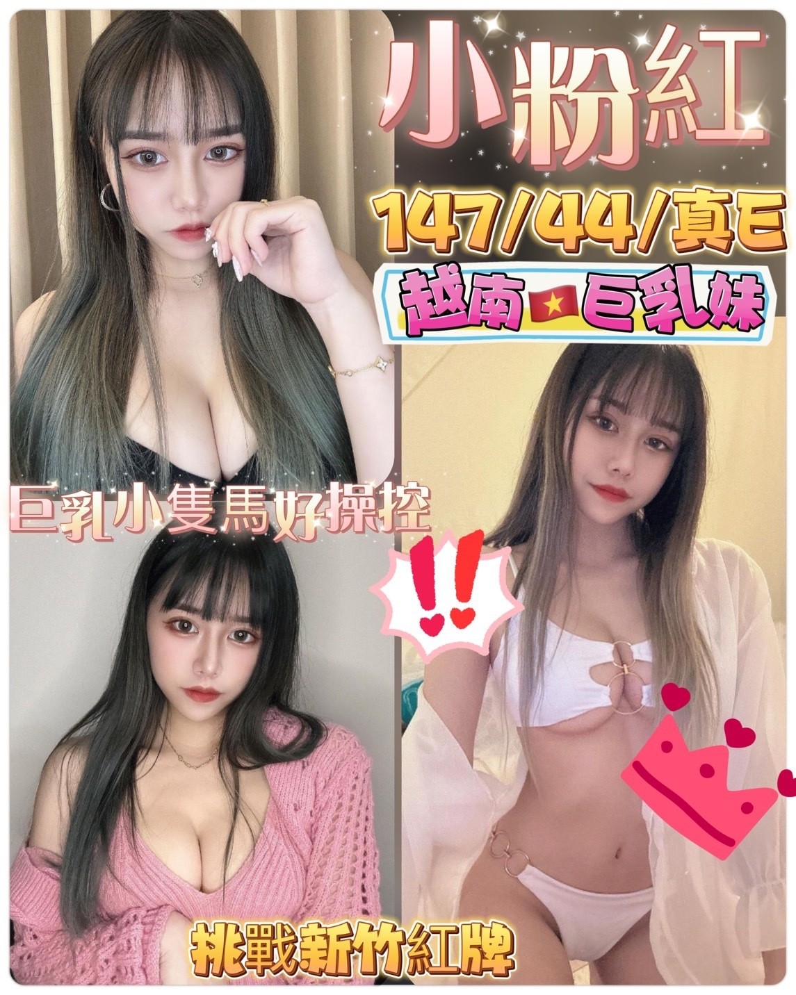 越南新竹小粉紅定點圖片