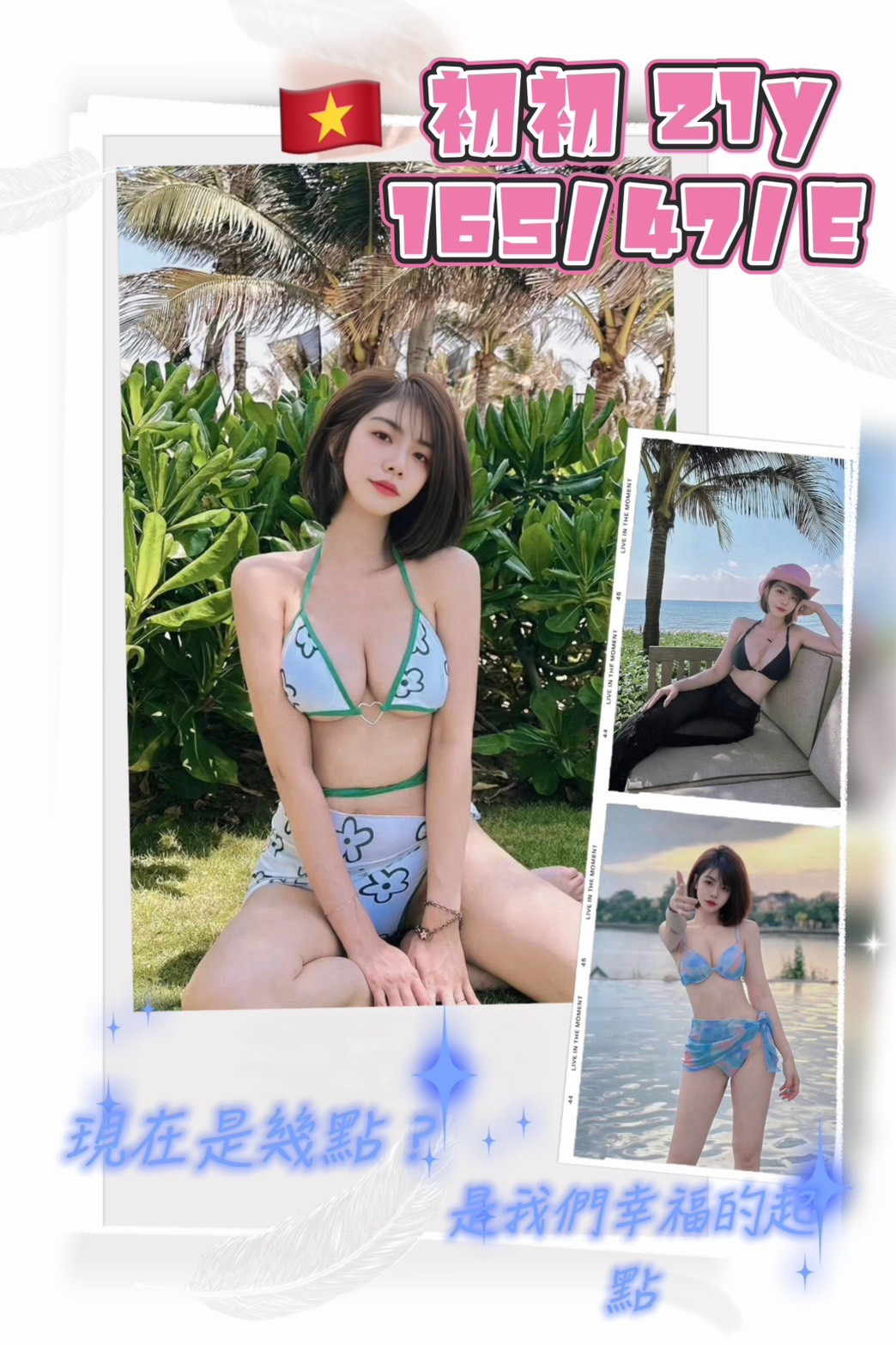 越南桃園初初定點圖片