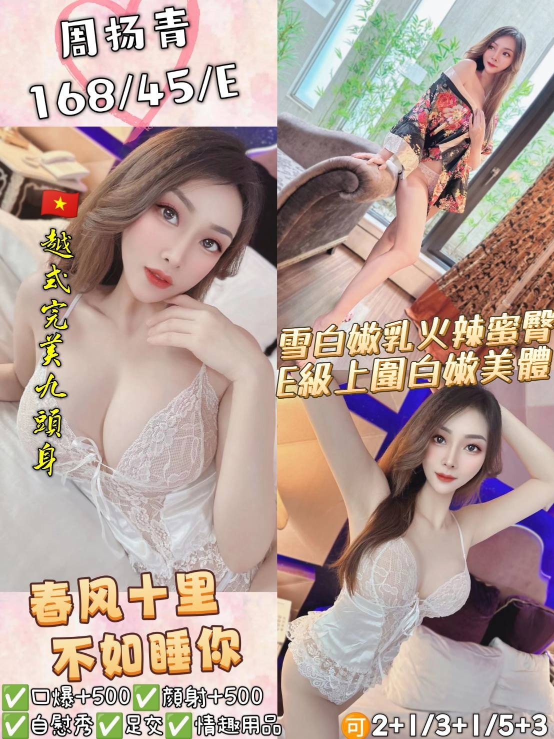 越南桃園周揚青定點圖片