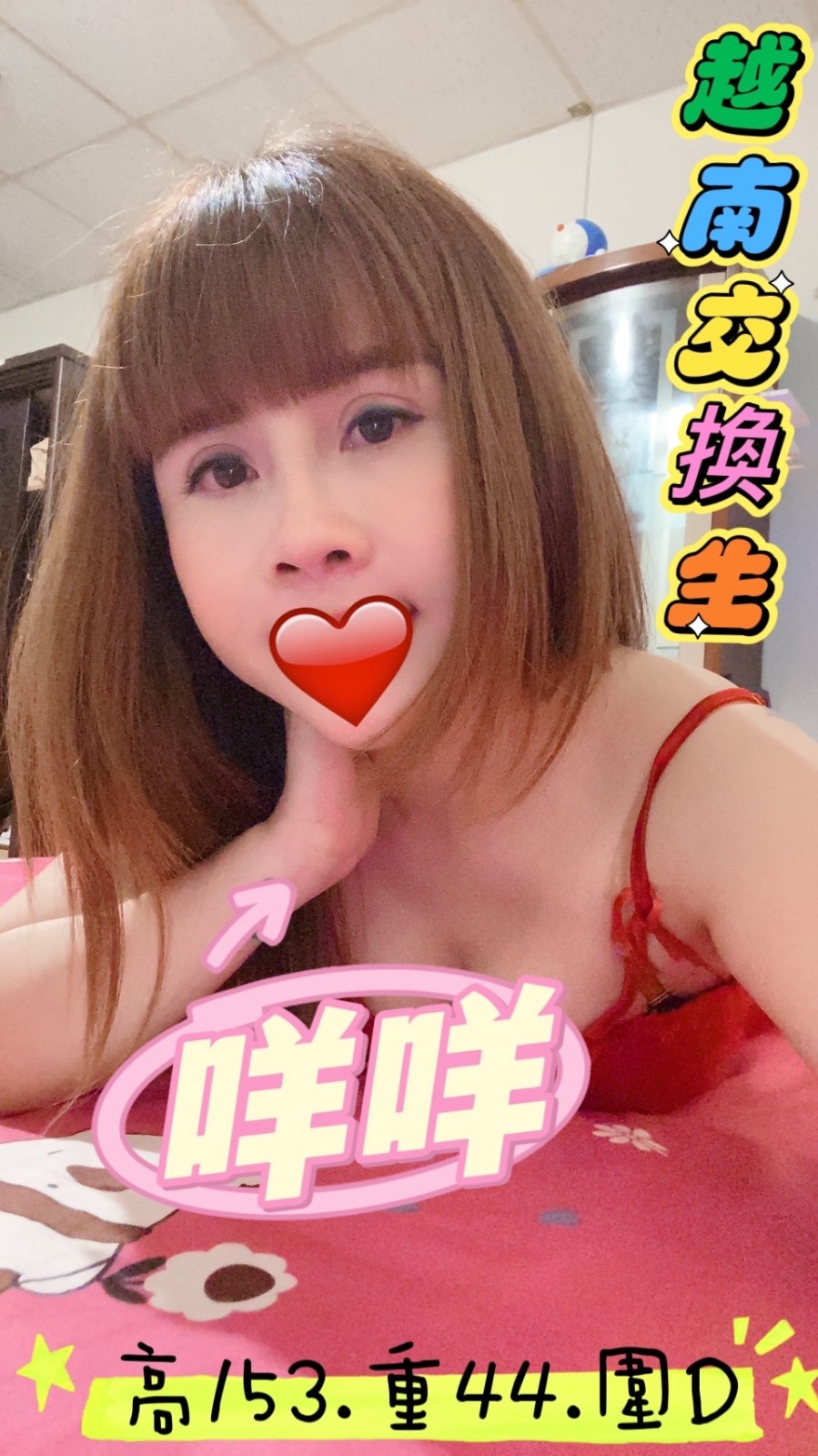 越南桃園咩咩定點圖片