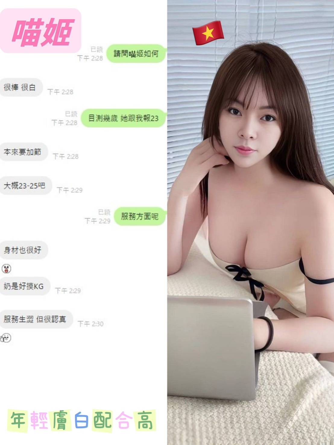 越南桃園喵姬定點圖片