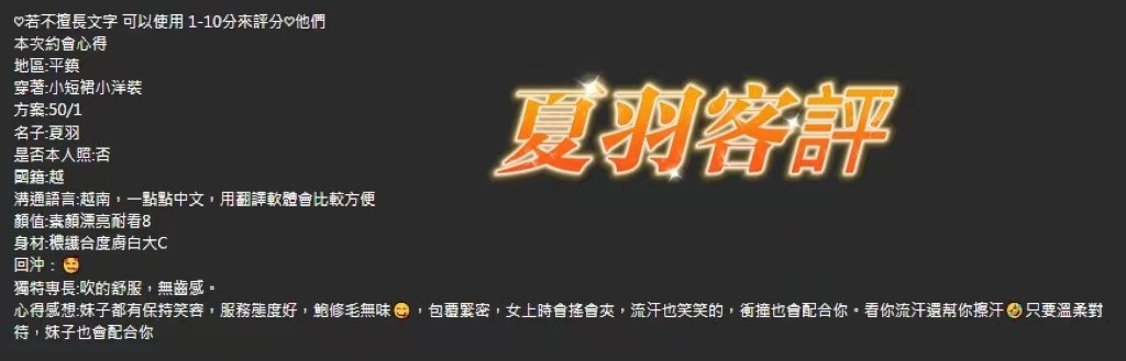 越南桃園夏羽定點圖片