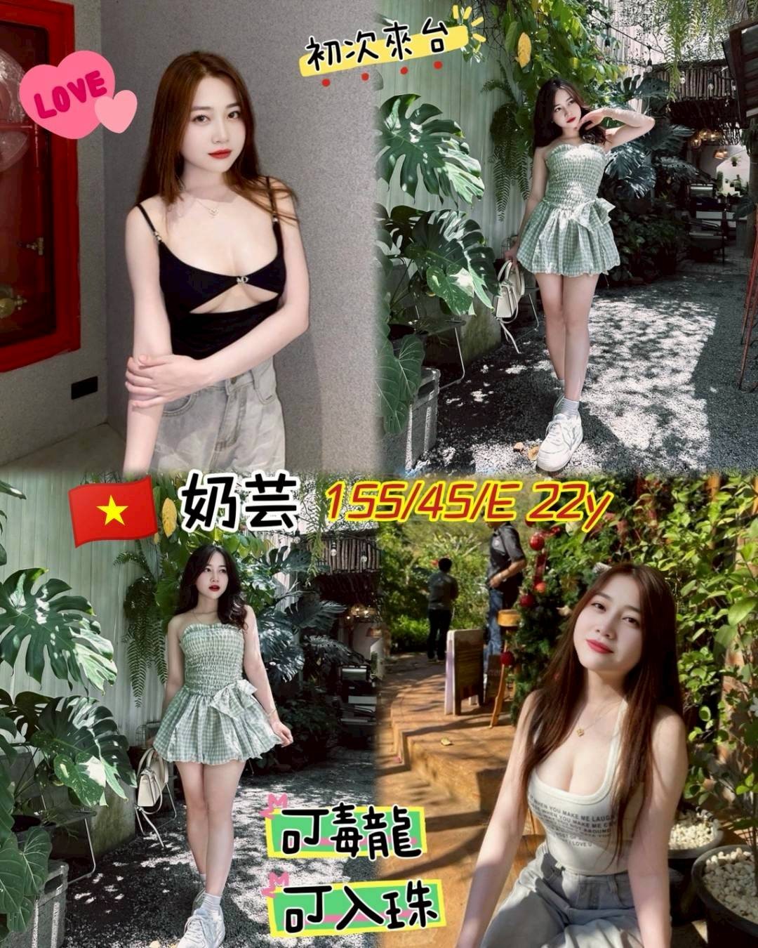 越南桃園奶芸定點圖片