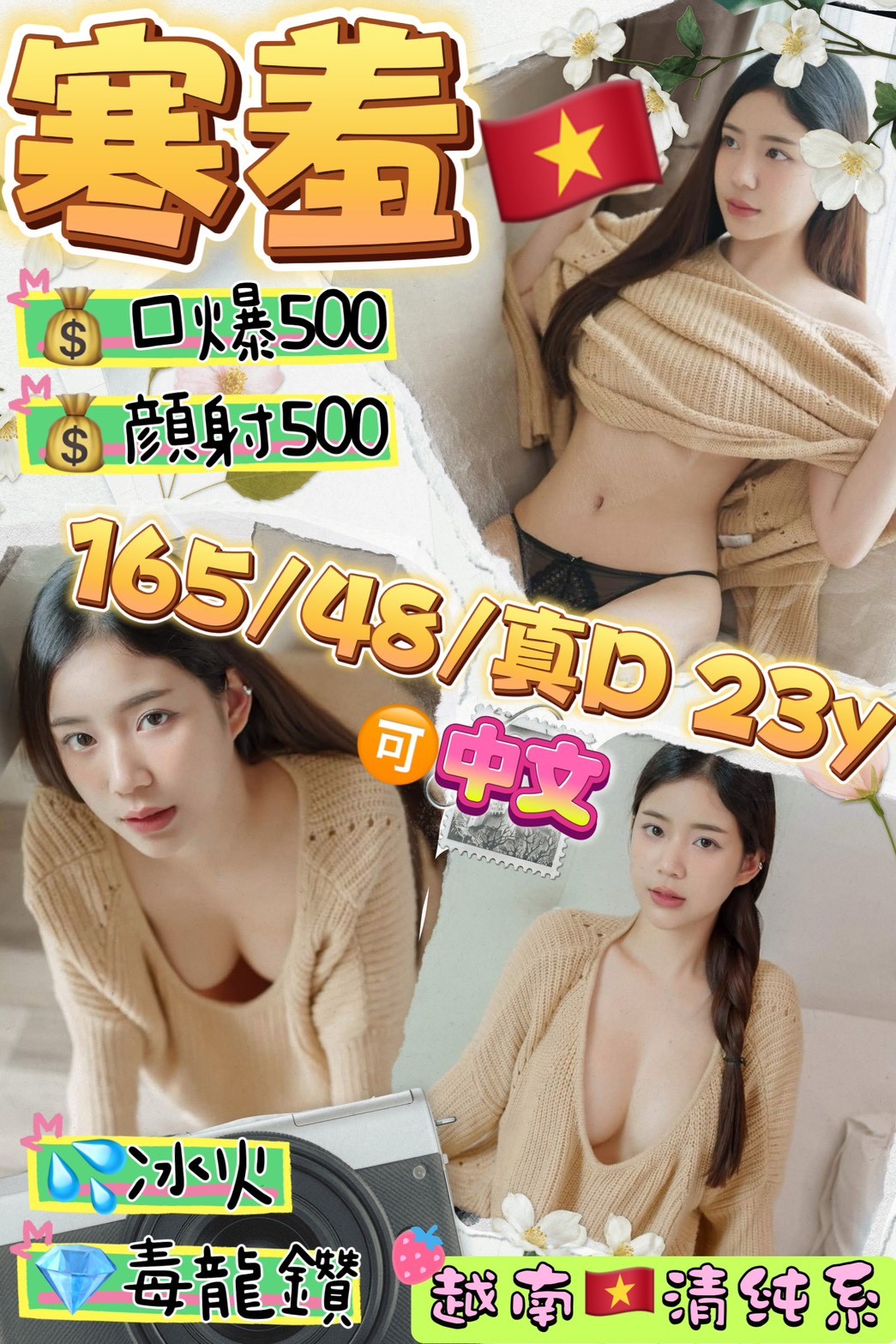 越南桃園寒羞定點圖片