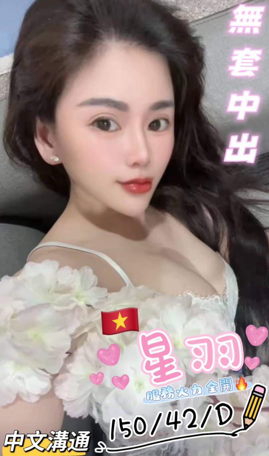 越南桃園星羽定點圖片