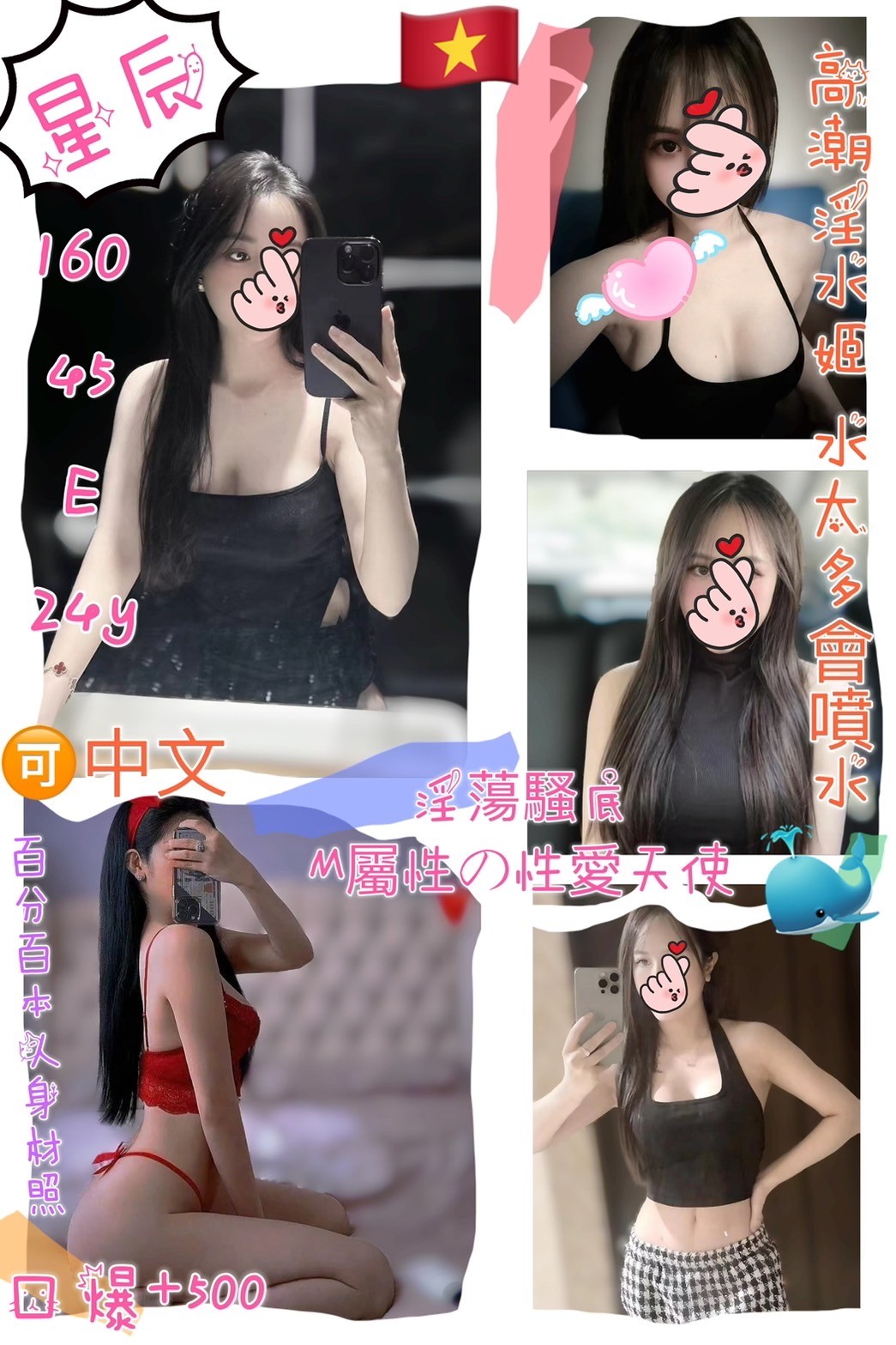 越南桃園星辰定點圖片